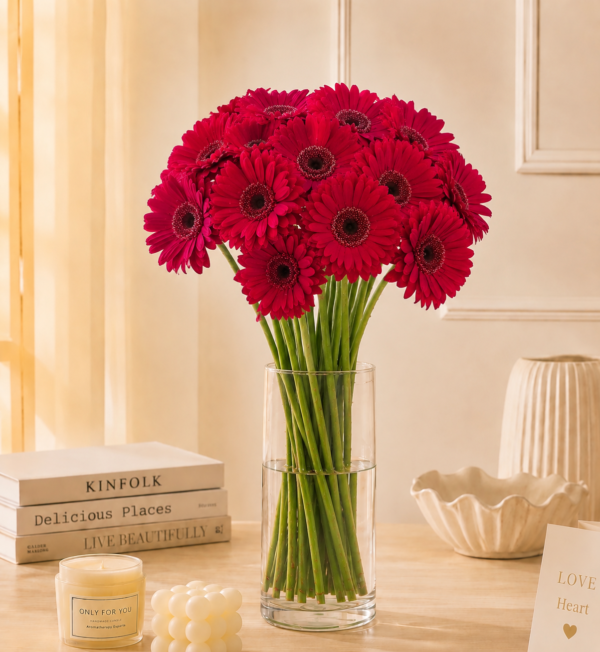 Dark Pink Gerberas bunch 10pcs