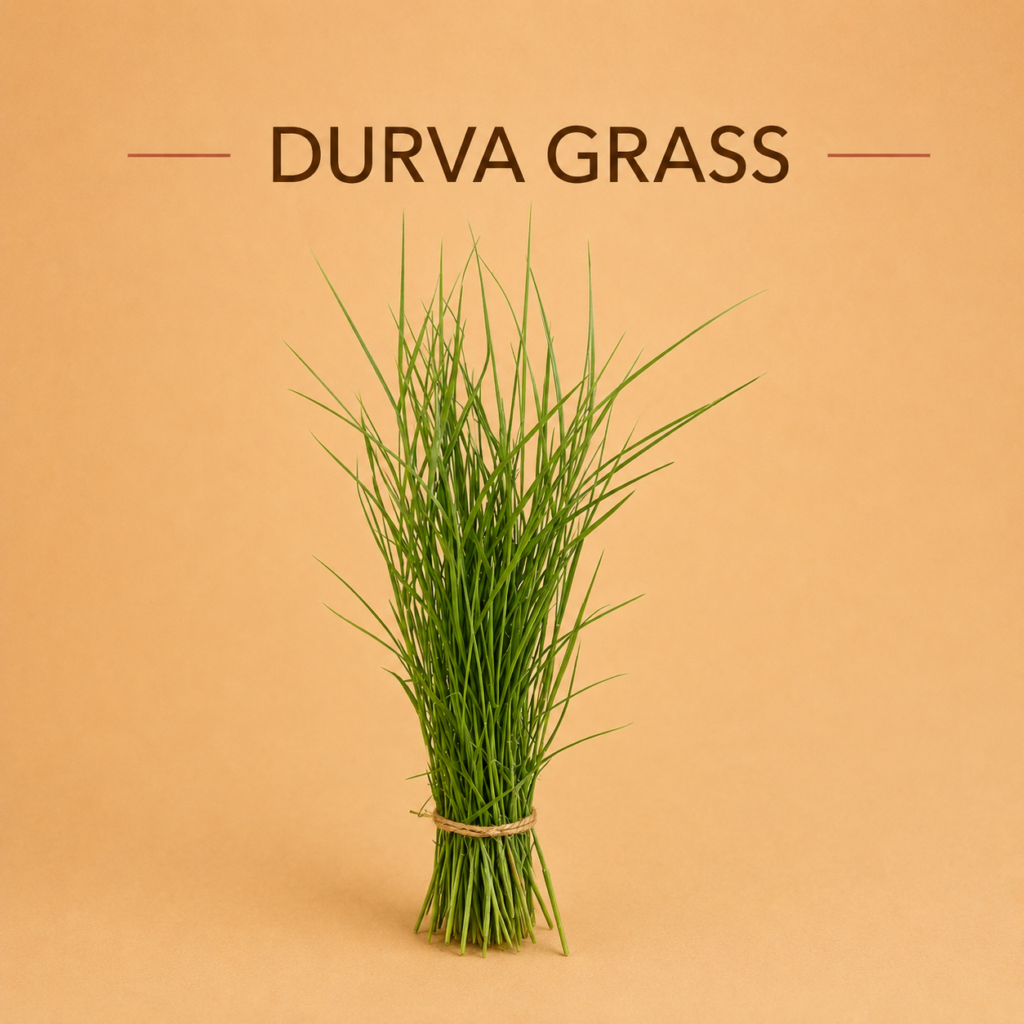 Doob Grass / Durva Grass (Garike) - SAGAR FLORIST