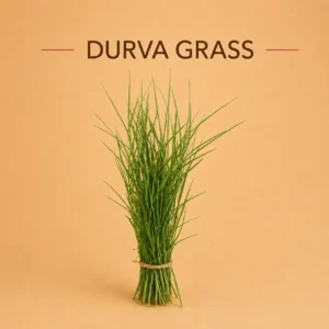 Durva Grass, doob grass