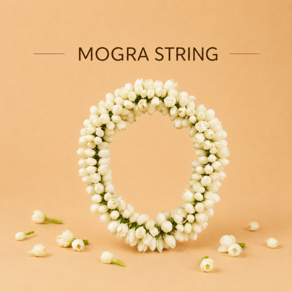 Sagarflorist Jasmine Flower String ( Mogra )