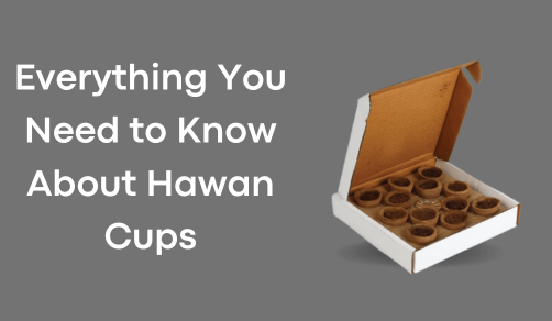 Havan Cups/Sambrani Cups