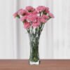 Pink Carnation Bunch 10pcs Sagar florist