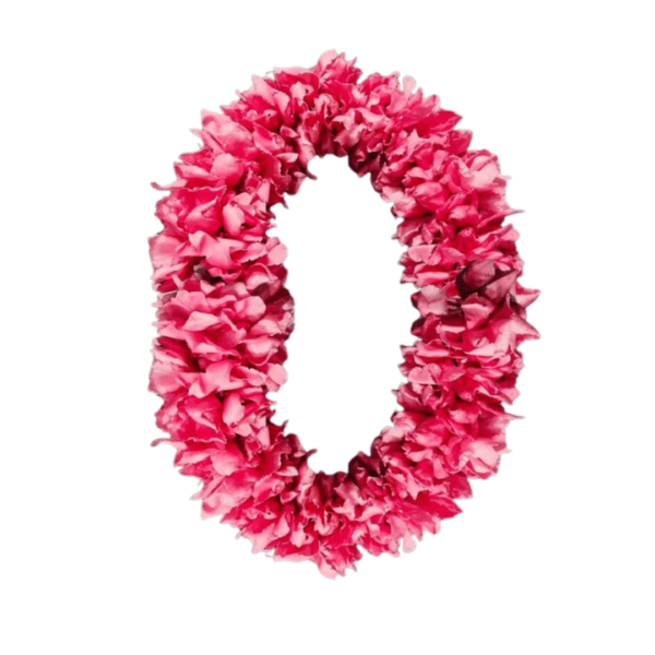 kaner flower for pooja delhi