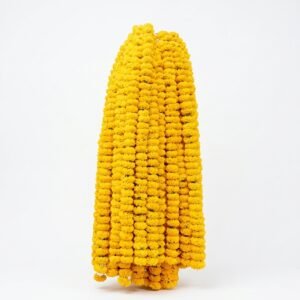 PUJA FLOWERS NERA ME