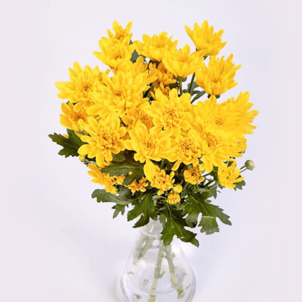 pooja flowers online delhi