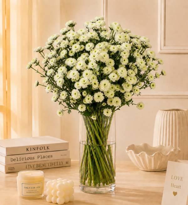 White Daisy Flowers Bunch 20Pcs