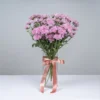 Pink Chrysanthemum