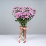 Pink Chrysanthemum