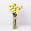 yellow carnation flower