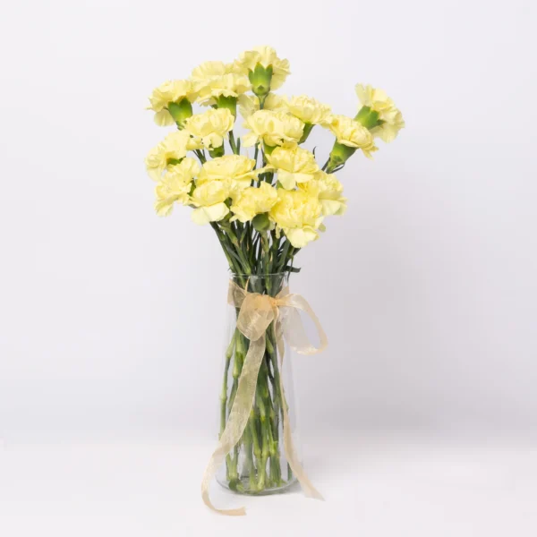 yellow carnation flower