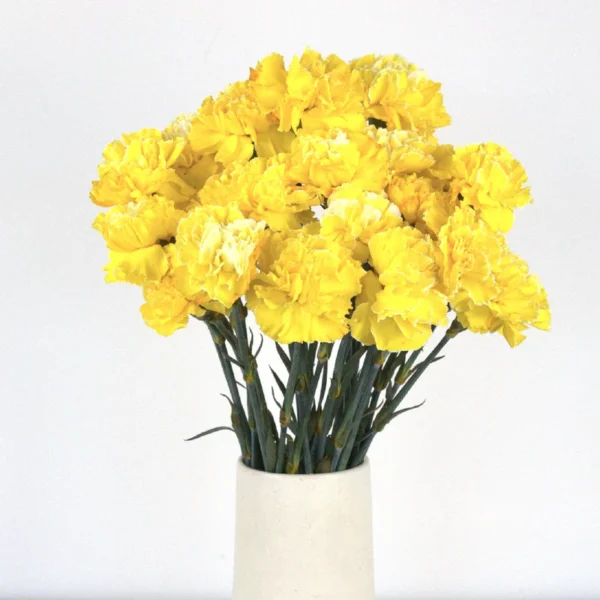 https://sagarflorist.com/