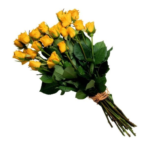 Premium Yellow Roses Bunch 20pcs