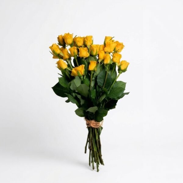 Premium Yellow Roses Bunch 20pcs