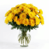 Yellow Chrysanthemum