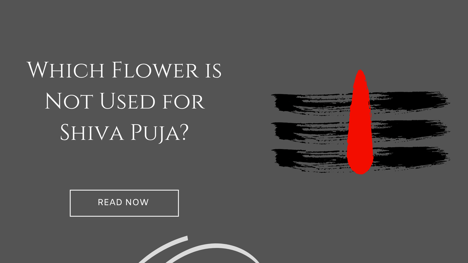 Which Flower is Not Used for Shiva Puja?