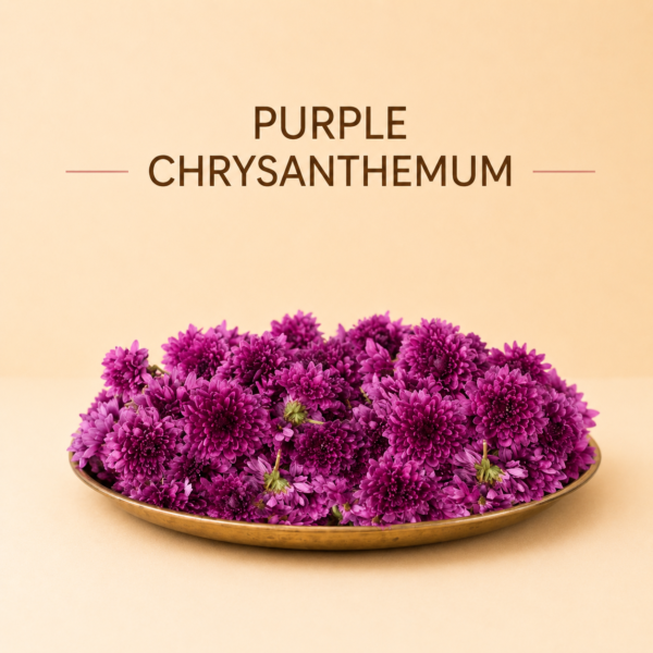 Purple Chrysanthemum Flowers 250gm Enhance Your Pooja