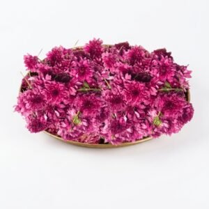 SAGAR FLORIST ONLINE