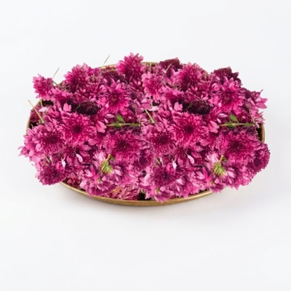 SAGAR FLORIST ONLINE