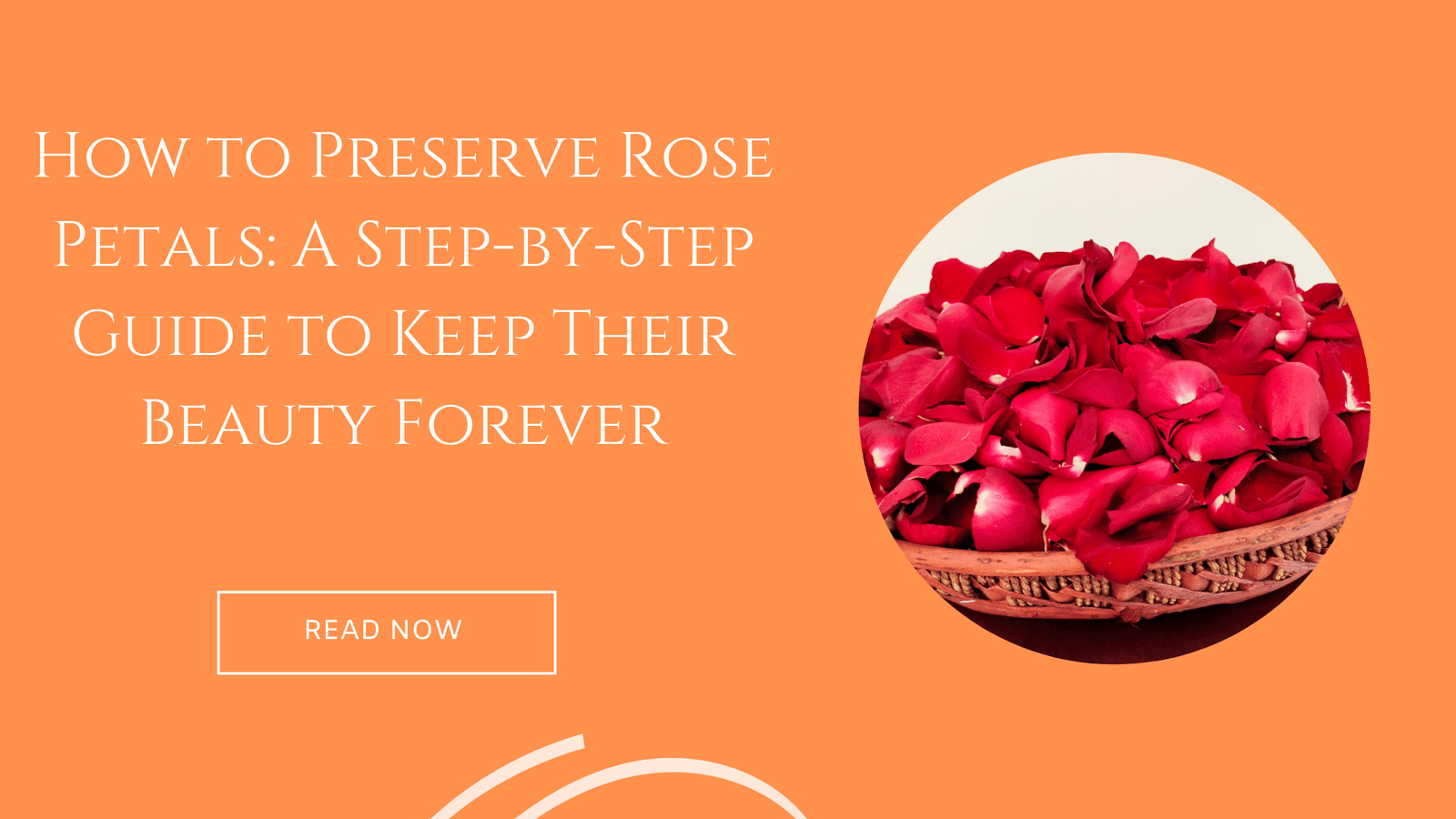 how to preserve rose petals