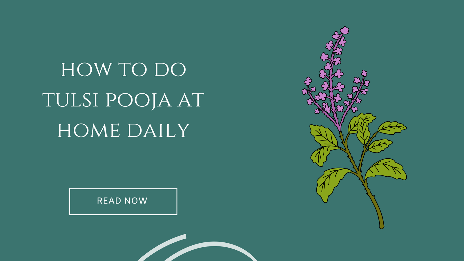 how to do tulsi pooja at home daily