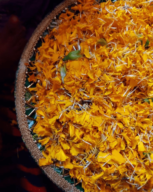 sun flowers for pooja delhi