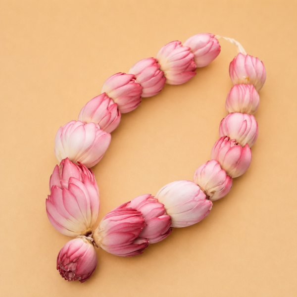 Fresh Lotus flower Garland 1Pcs Enhance Your Pooja