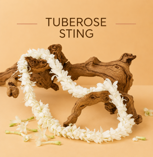 Fresh Tuberose Sting ( Rajnigenda ) Enhance Your Pooja 2pcs