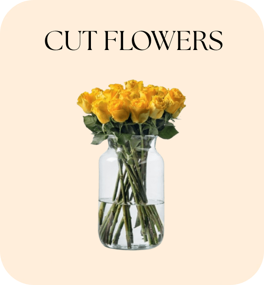 sagar florist