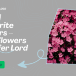 Shiv Ji Favourite Flowers – Best Flowers to Offer Lord Shiva | Sagar Florist Divine Guide