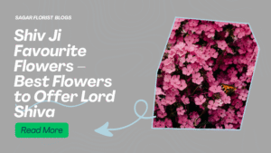 Shiv Ji Favourite Flowers – Best Flowers to Offer Lord Shiva