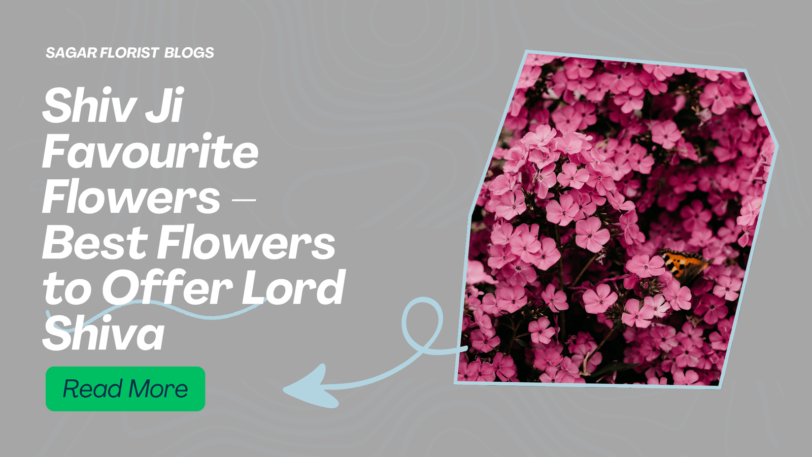 Shiv Ji Favourite Flowers – Best Flowers to Offer Lord Shiva
