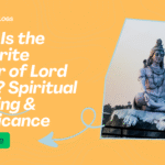 What Is the Favourite Colour of Lord Shiva? Spiritual Meaning & Significance | Sagar Florist