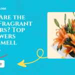 What Are the Most Fragrant Flowers? Top 10 Flowers That Smell Divine