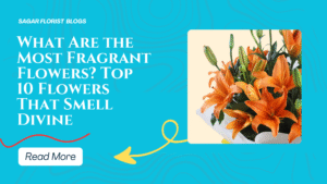 what are the most fragrant flowers?