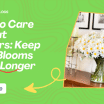 How to Care for Cut Flowers: Keep Your Blooms Fresh Longer