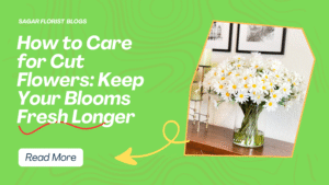 how to care for cut flowers