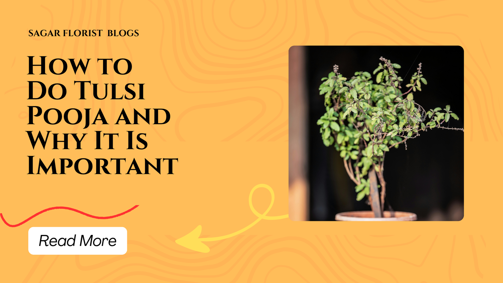 How to Do Tulsi Pooja and Why It Is Important