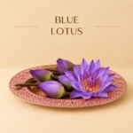 blue lotus for pooja