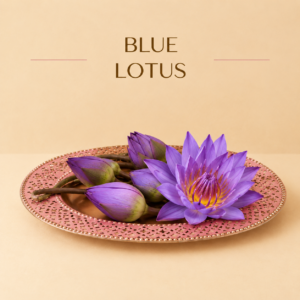 blue lotus for pooja